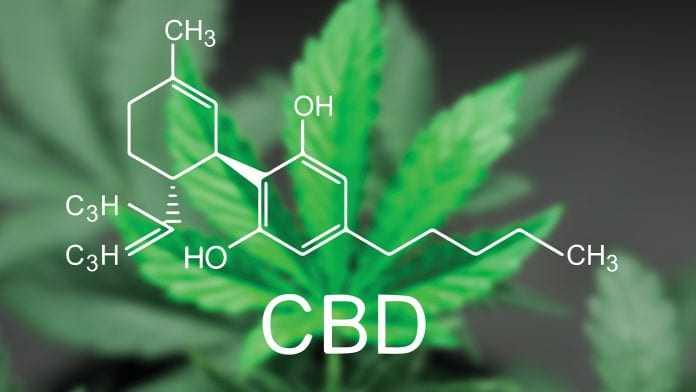 Groundbreaking CBD-based alternative: are steroids a necessary evil?