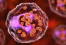 UK gonorrhoea investment to prevent STI spread uk gonorrhoea investment