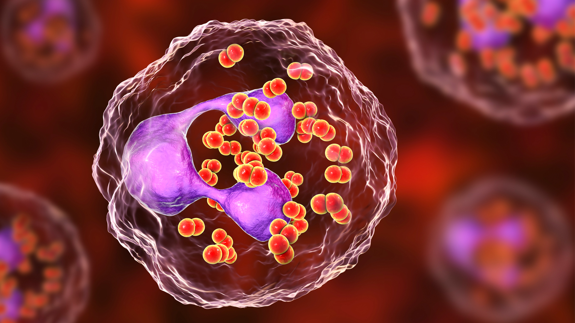 uk gonorrhoea investment