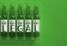 New York cannabis legalisation efforts ramp up as industry shows potential 
