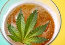 Cannabis beer: grant to study and develop innovative yeasts