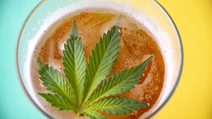 Cannabis beer: grant to study and develop innovative yeasts