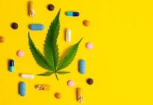 Patients ditch their traditional medication in favour of cannabis Patients ditch their traditional medication in favour of cannabis