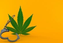 Limiting illicit cannabis trade as the industry continues expanding