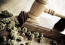 Legalisation of medical and other cannabis has little effect on crime