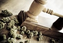 Legalisation of medical and other cannabis has little effect on crime Legalisation of medical and other cannabis has little effect on crime