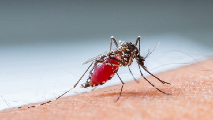 Novel compound can interrupt malaria parasite's lifecycle