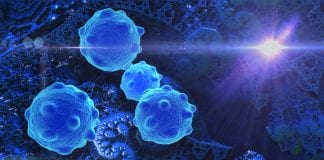 Defence Therapeutics Accutox exhibits potent anti-cancer properties
