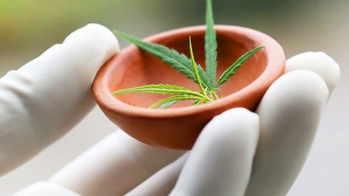 The expansion of the study of cannabis opens new avenues to legalisation 