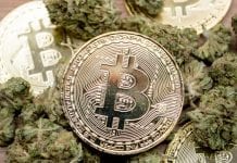 Bitcoin and cannabis: this CBD store in the UK accepts cryptocurrency