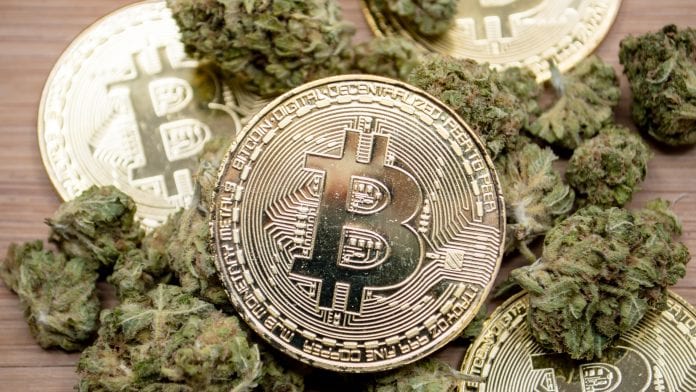 Bitcoin and cannabis: this CBD store in the UK accepts cryptocurrency