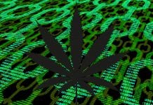 Blockchain for cannabis: how decentralised applications can benefit trade