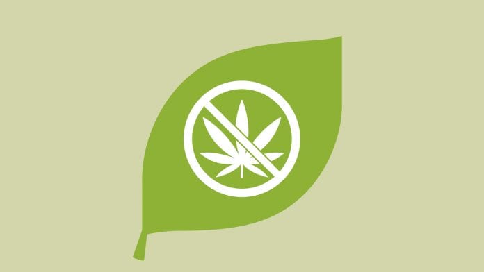 National Safety Council: cannabis not acceptable in safety sensitive jobs