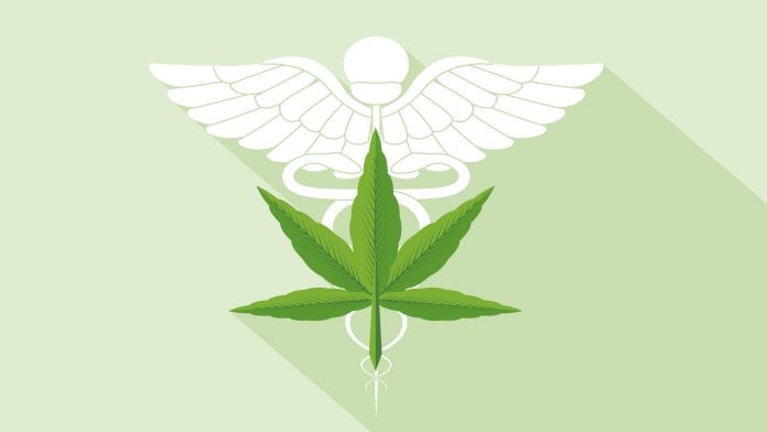Former Portugal State Secretary of Health appointed to cannabis firm