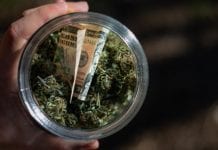 Cannabis stocks: should you put your money in the pot?