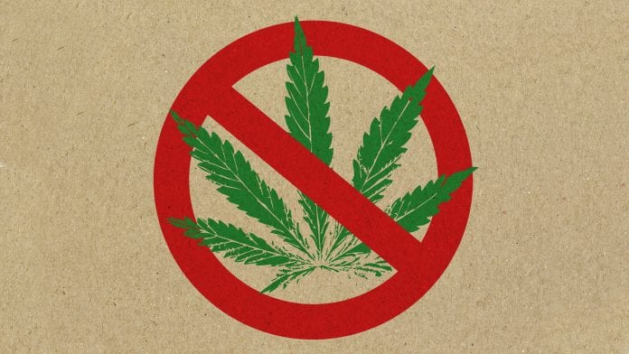 iStock-ChrisSteer Growing use as old cannabis stereotypes are debunked