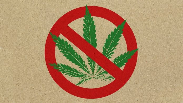 Growing use as old cannabis stereotypes are debunked