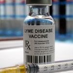 New effective vaccines for Lyme disease are coming