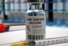 New effective vaccines for Lyme disease are coming New effective vaccines for Lyme disease are coming