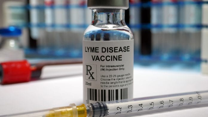iStock-Hailshadow New effective vaccines for Lyme disease are coming