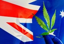 Australian Government invests $3m for medical cannabis research