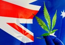 Australian Government invests $3m for medical cannabis research Australian Government invests $3m for medical cannabis research