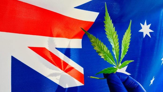 Australian Government invests $3m for medical cannabis research