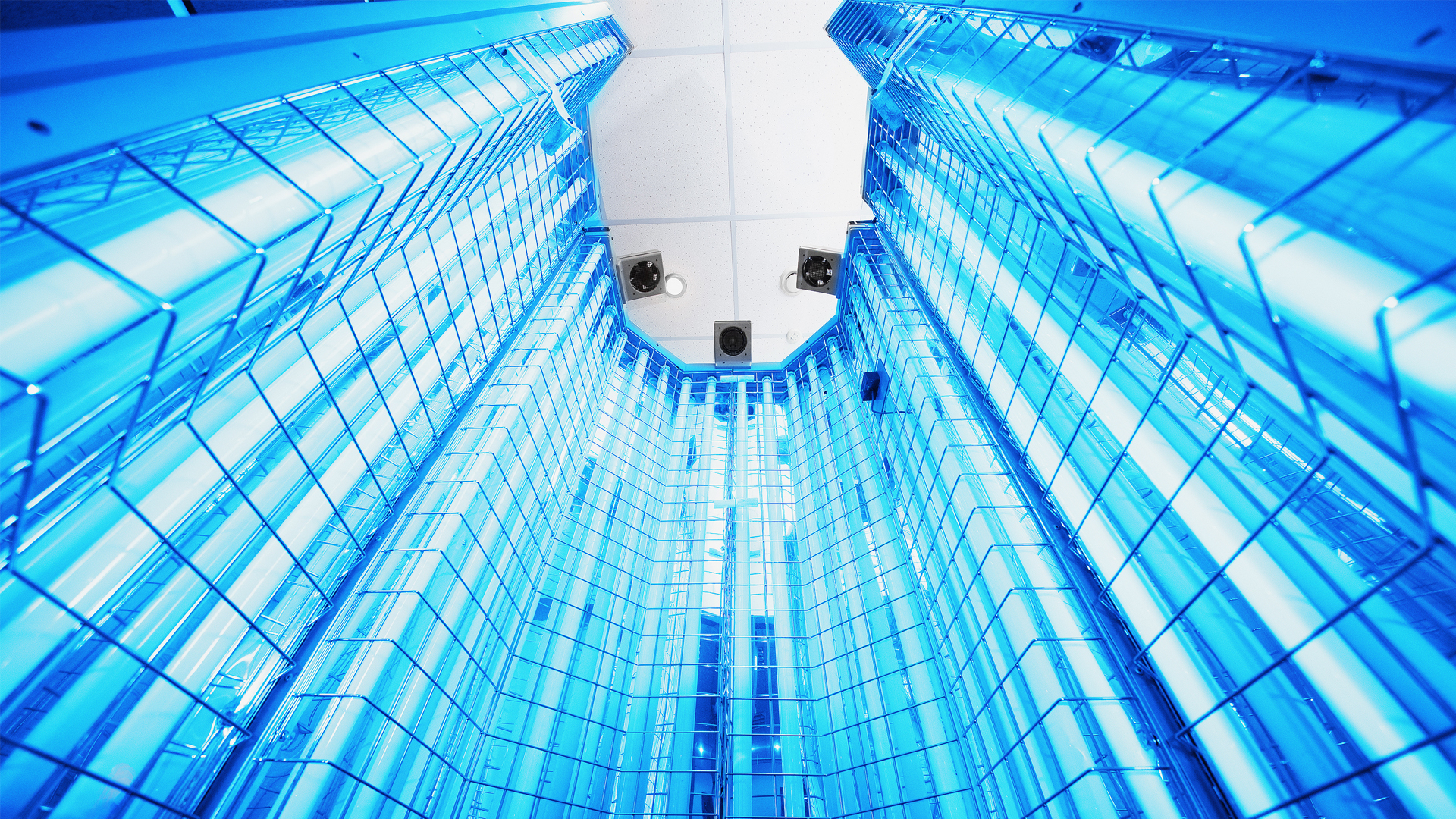 Light therapy: laying groundwork for personalised medical technology