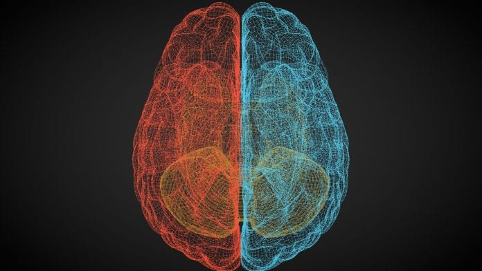 Brain-mimicking environment created to grow 3D tissue models of tumours