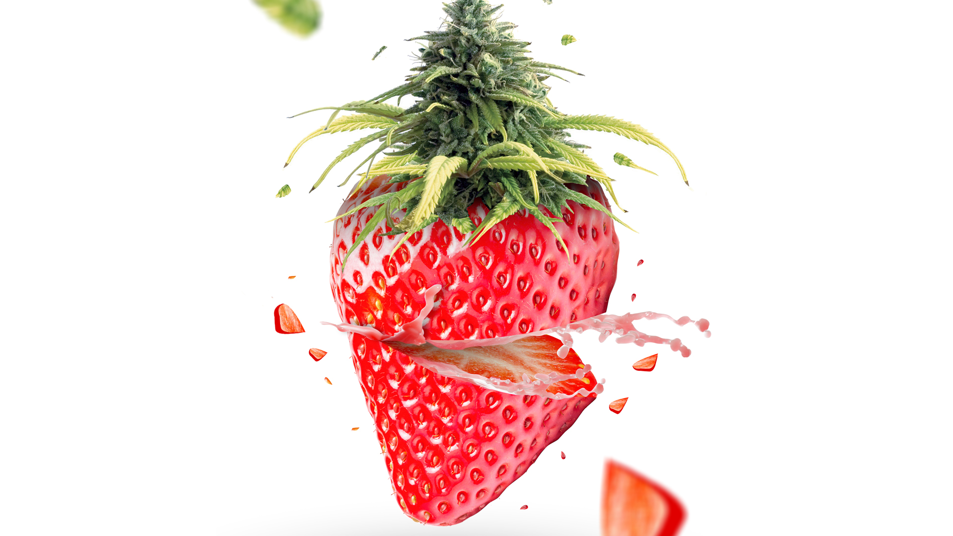 Growing strains: how is the flavour of cannabis determined?