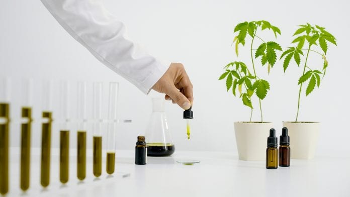 Plans for comprehensive analytical testing review for UK cannabis industry