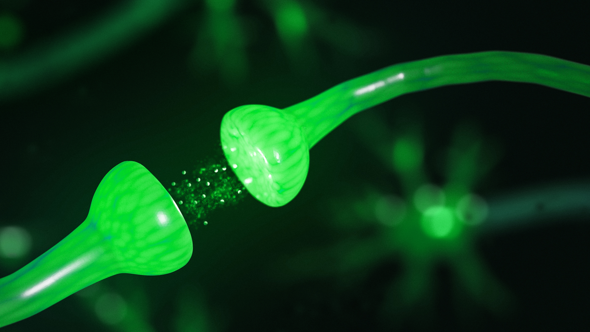 Cannabis study reveals how CBD offsets the side-effects of THC