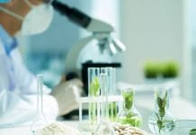 Scientists discover new antibiotic in tropical Mexican forest Scientists discover new antibiotic in tropical Mexican forest