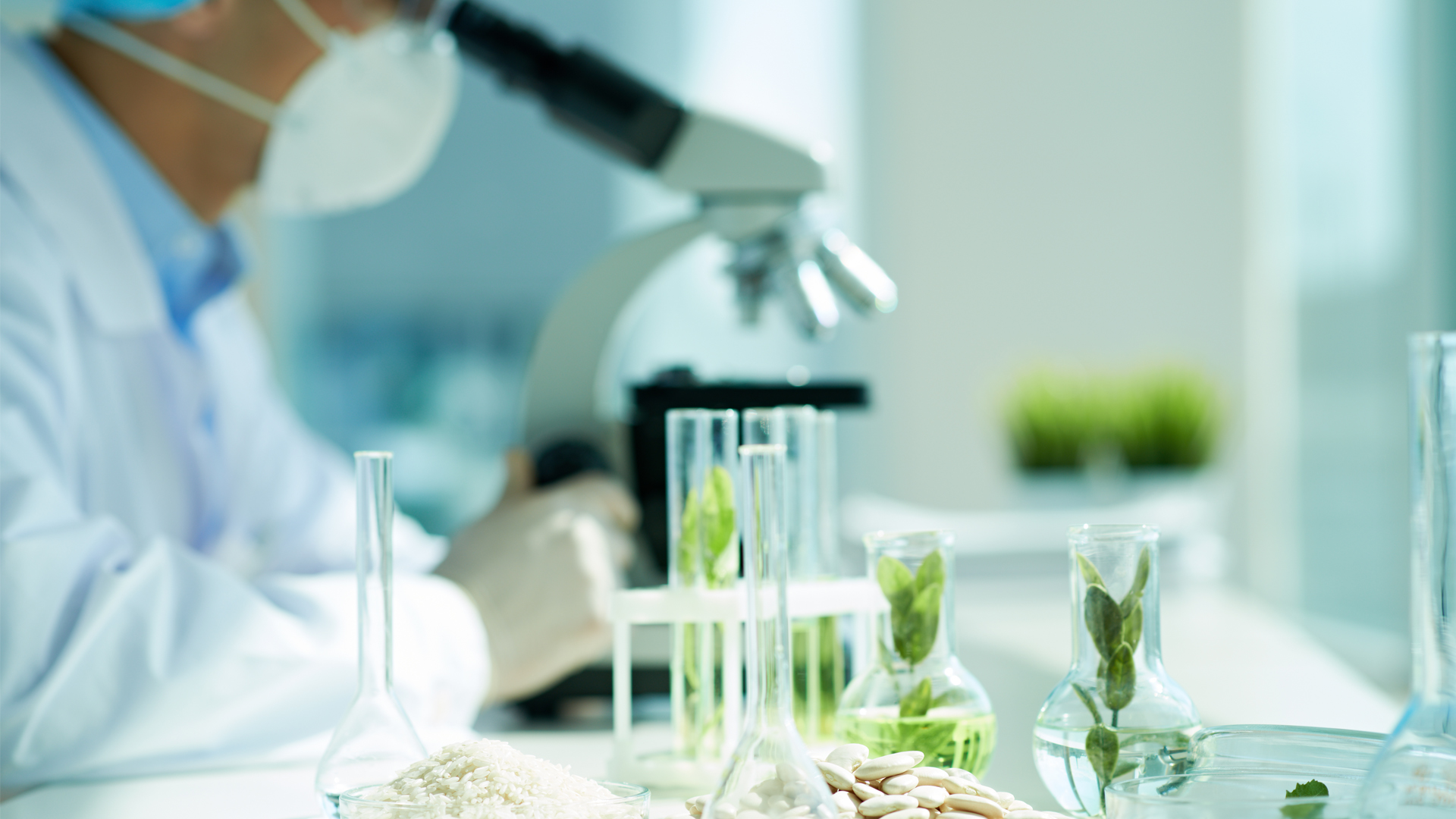 Scientists discover new antibiotic in tropical Mexican forest