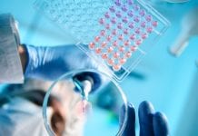 Nobel Prize research opens up new anaemia and cancer treatment Nobel Prize research opens up new anaemia and cancer treatment