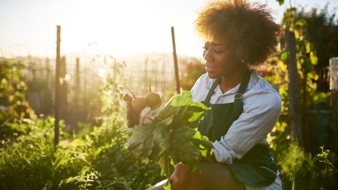 Urban gardens can help curb food insecurity and health problems
