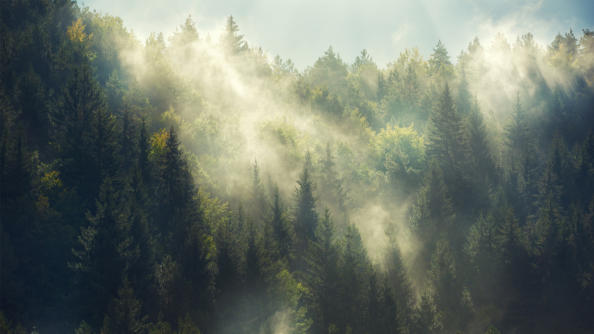 EMMAC Life Sciences and its successful issue of Convertible Loan Notes