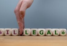 Australian Capital Territory legalises personal cannabis growing Australian Capital Territory legalises personal cannabis growing