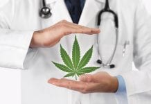 Kannabeira: standardised pharmaceutical grade cannabis and derivatives Kannabeira: standardised pharmaceutical grade cannabis and derivatives