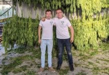 Greenheart CBD: a different kind of green crop grows in Ireland A different kind of green crop grows in Ireland