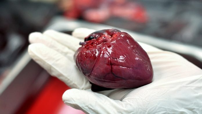 China’s voluntary organ donation 'failure' exposes organ harvesting crimes