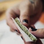 Cannabis lowers odds of illicit opioid use in chronic pain patients