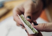 Cannabis lowers odds of illicit opioid use in chronic pain patients