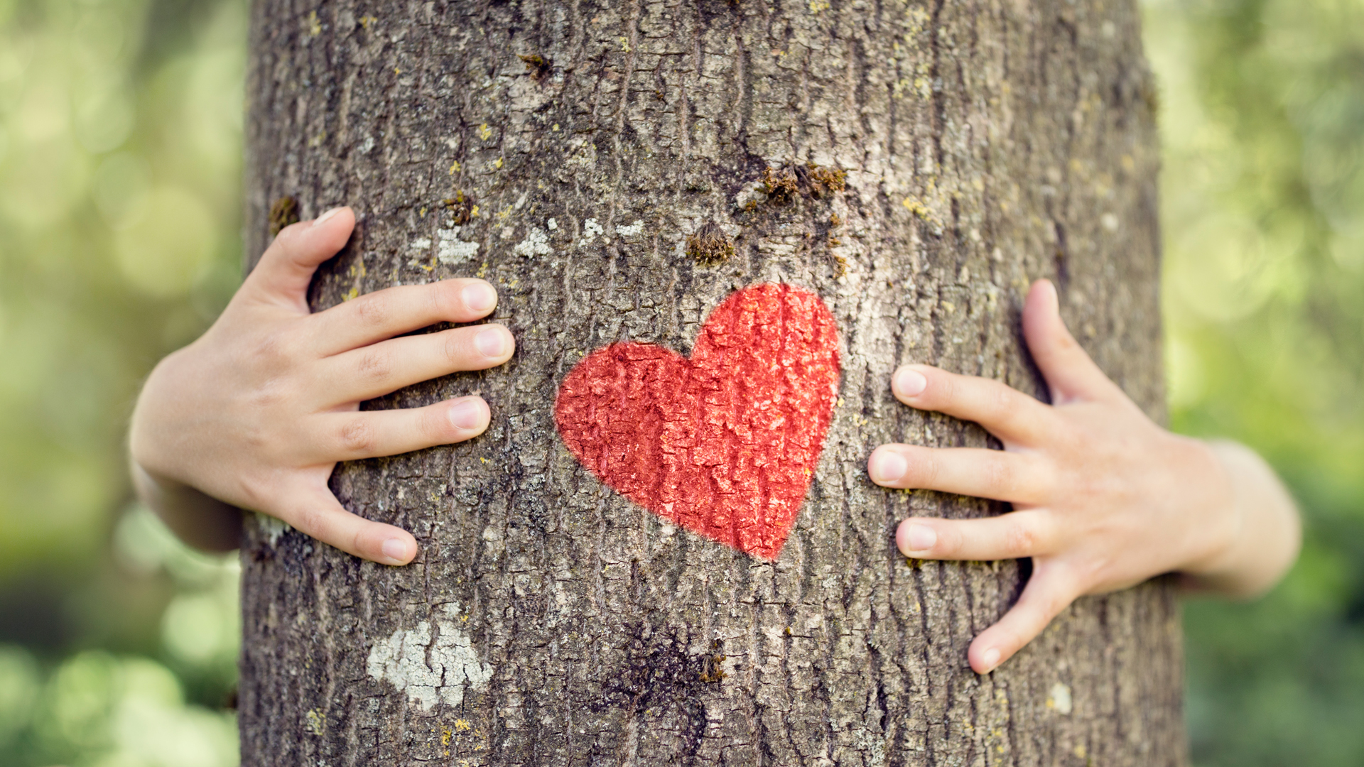 Public health: nature better than tech for reducing air pollution