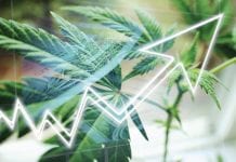 ‘Finding reliable banking and payments in the US cannabis industry is extremely challenging’