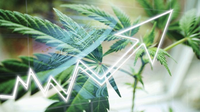 ‘Finding reliable banking and payments in the US cannabis industry is extremely challenging’