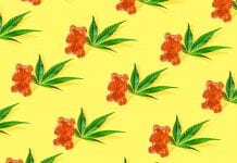 Aurora Cannabis launches national safety campaign on edibles Aurora Cannabis launches national safety campaign on edibles