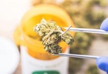 NICE must consider therapeutic potential of different cannabis medicines