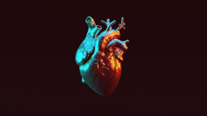 iStock-Paul Campbell New AI tool can predict life expectancy in heart failure patients