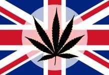 UK medical cannabis: the one year anniversary of legalisation